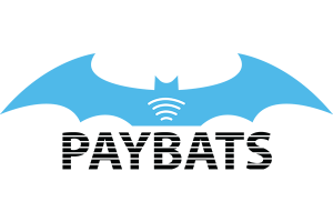 ibat-main-page-section-logo-paybats